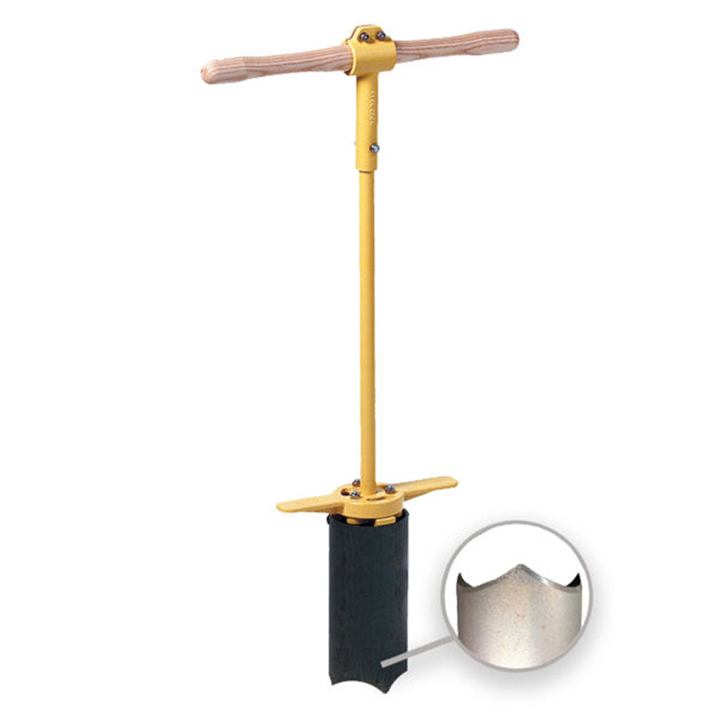 foot-extract-hole-cutter-scalloped-blue
