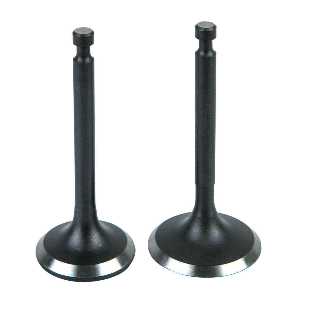 valve-kit-suits-lc1p70fc-(-ssv200fc-)