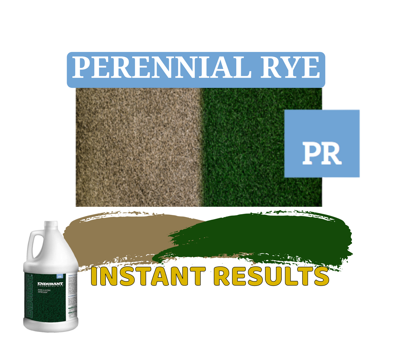 Endurant Perennial Rye - The best non toxic lawn paint for your grass
