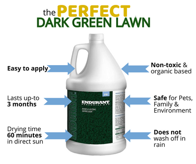 Endurant Perennial Rye - The best non toxic lawn paint for your grass